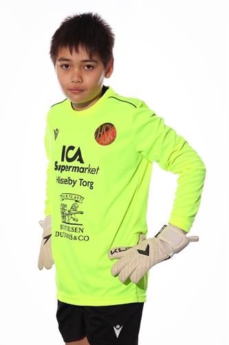 Md p14 gul espen fyrberg