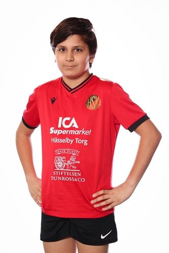 Md p13 gron artin hosman