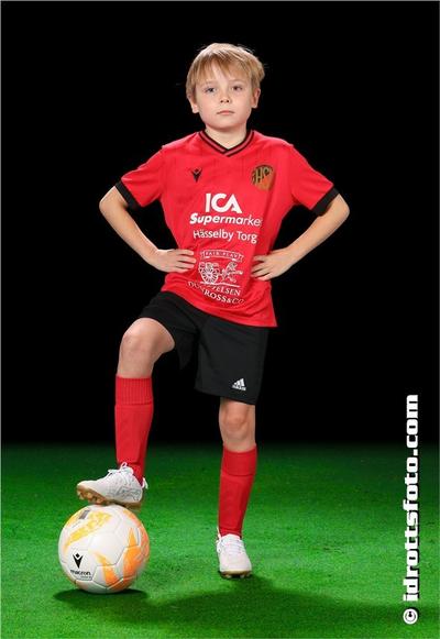 Md 231 nicolaus waern