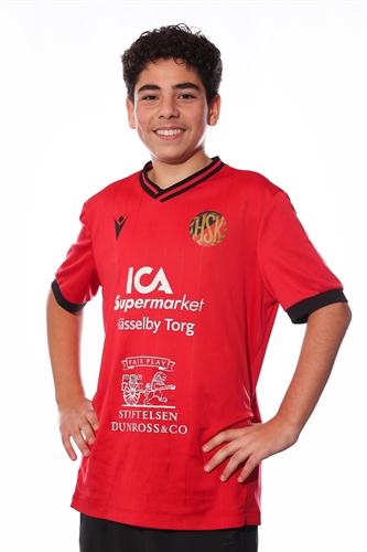Md p12 vit mohamad bargouth
