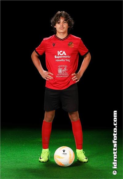 Md 279 luca andrei balasan