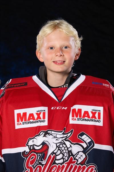 Md viktor ostblom