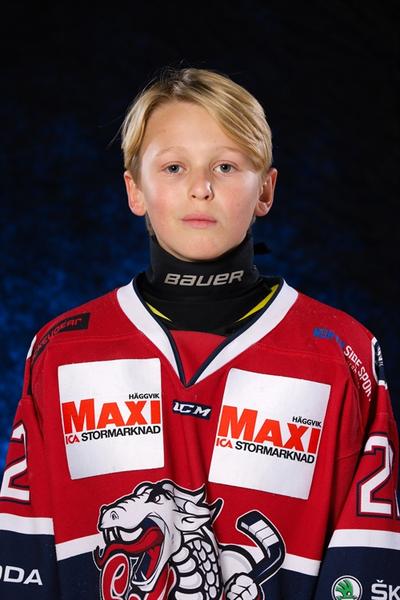Md elton brandt