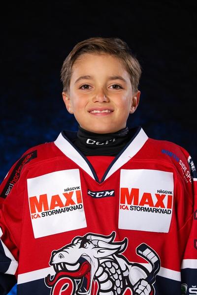 Md sam shafiei hornell