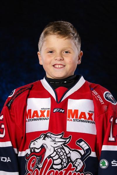Md erik sundin
