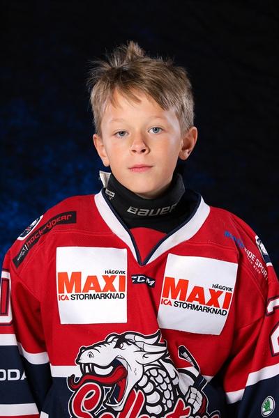 Md viggo forslund