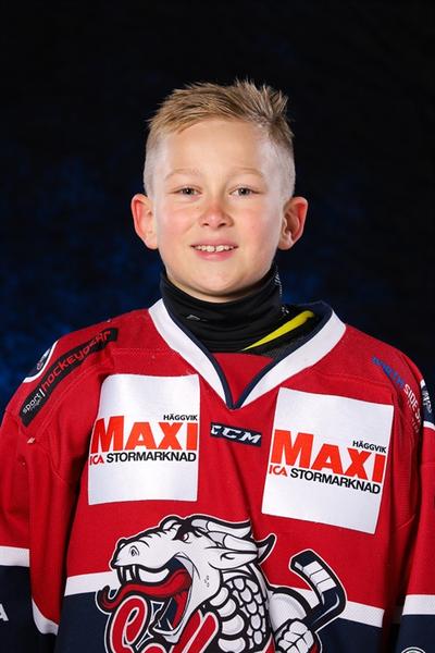 Md liam westman fallman