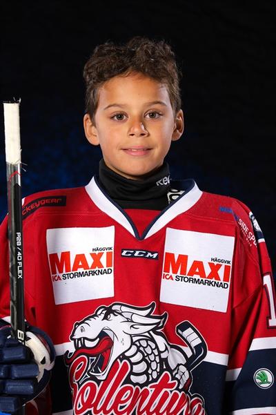 Md vincent loka ekfaldt