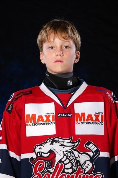 Md magnus bostrom