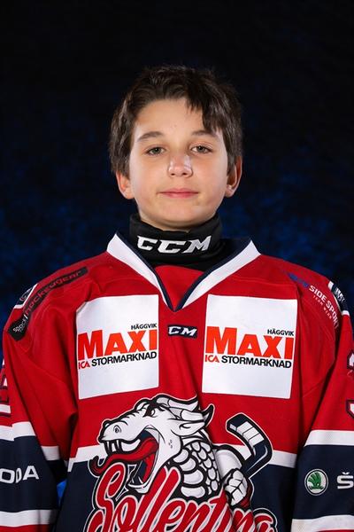 Md ivan koukos