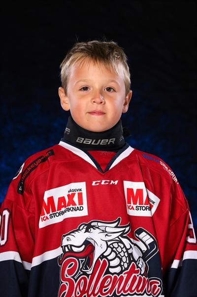 Md oscar slars paulsson