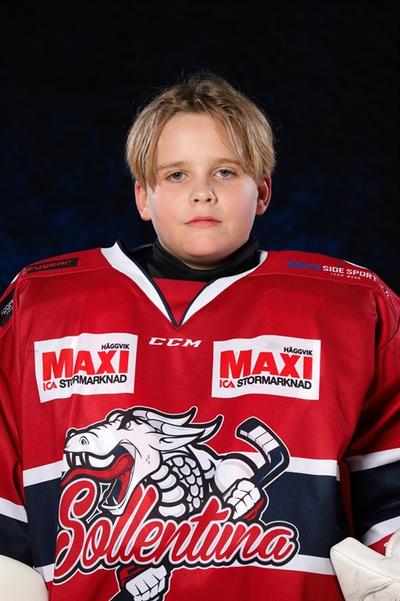 Md charlie nilsson laner