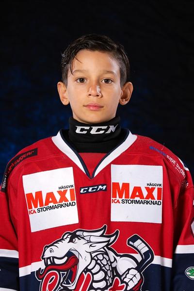 Md sebastian qadri karlsson