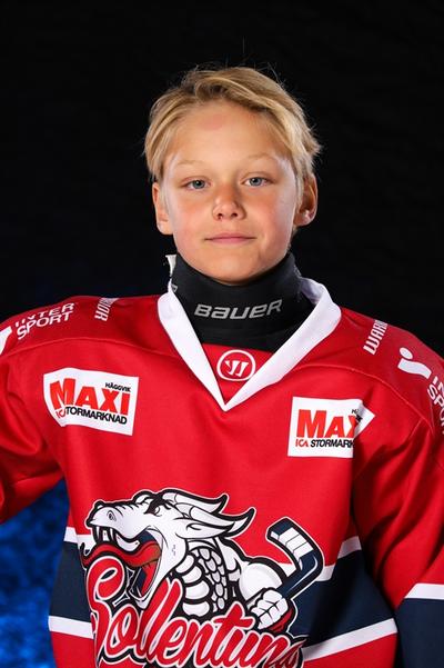 Md jamie warsama jigvall