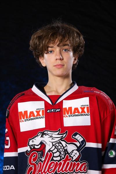 Md aliaksandr viachorka