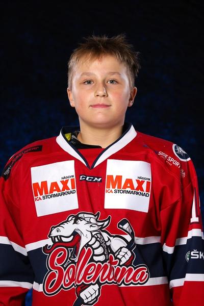 Md alexander rakuscinec