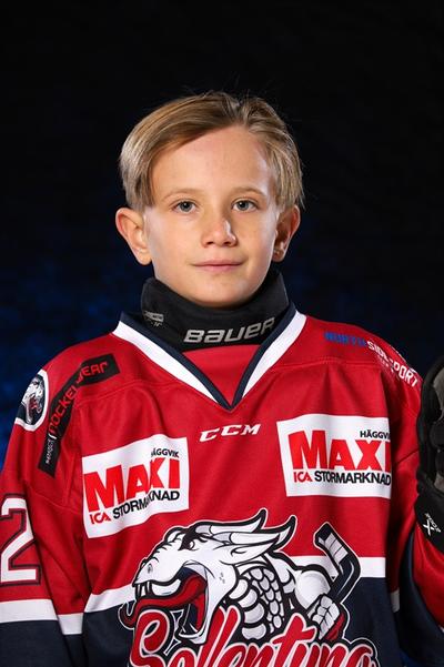 Md lennox green van workum