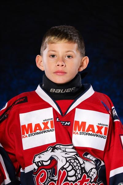 Md alexis green van workum