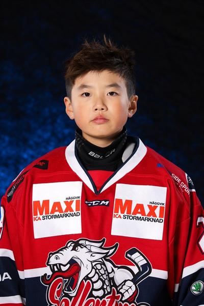 Md william evertsson