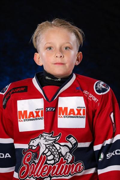 Md alexander engstrom norell