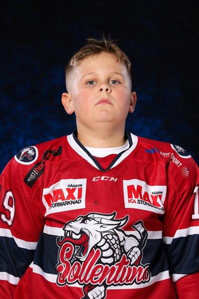 Md theodor grass blom