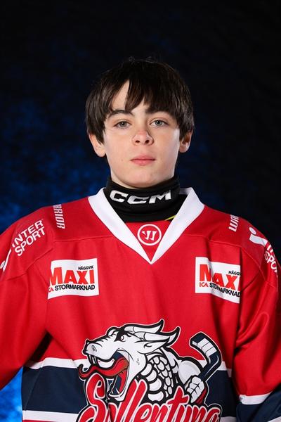 Md guillermo clares vidal