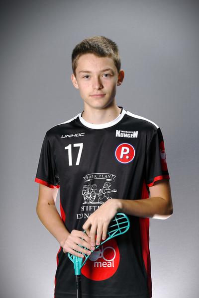 Holger 