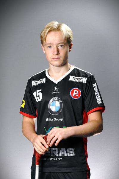 Gustav Bengtsson