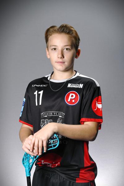 Vilmer 