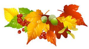 Team Kungälv Årsfest