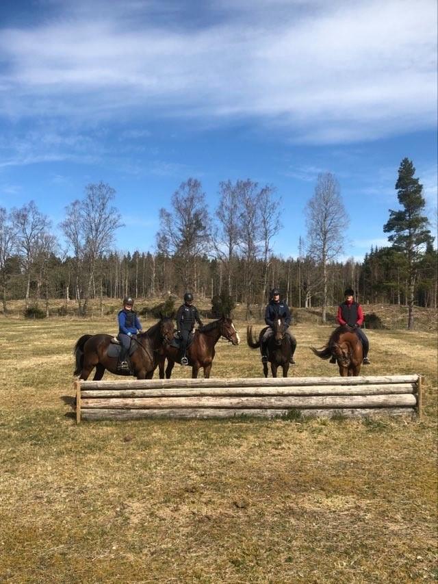 Terränhoppningskurs 25-27/9 på Tunarp säteri