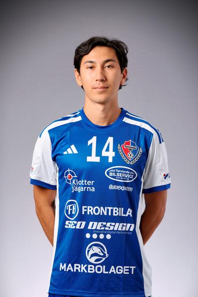 Md felix fogelholm