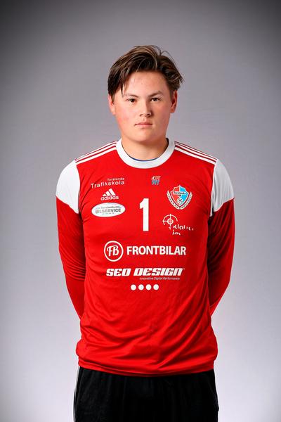 Md ludvig hedin