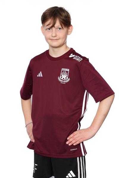 Md p2015 fa anton fernqvist