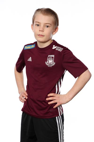 Md p2015 i bla harry prenker