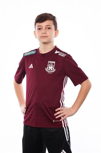 Md p13 6 redion rika