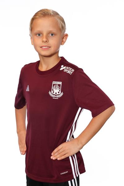 Md p2016 fa ludvig sjocrona