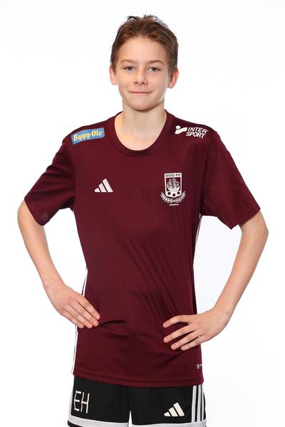 Md p2013 8 edin huseinovic