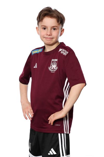 Md p2016 7 leo willberg