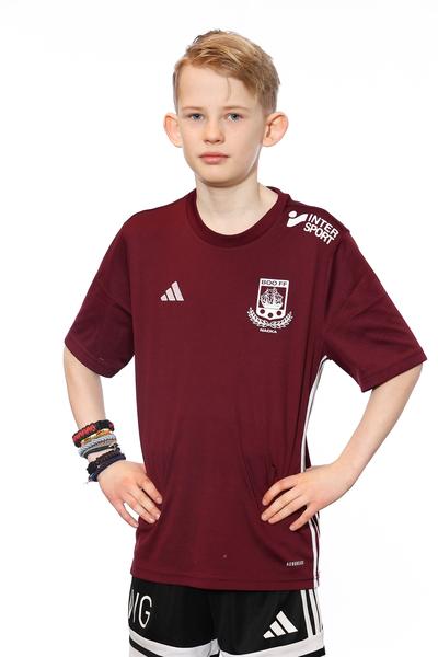 Md p2015 28 william gemvik