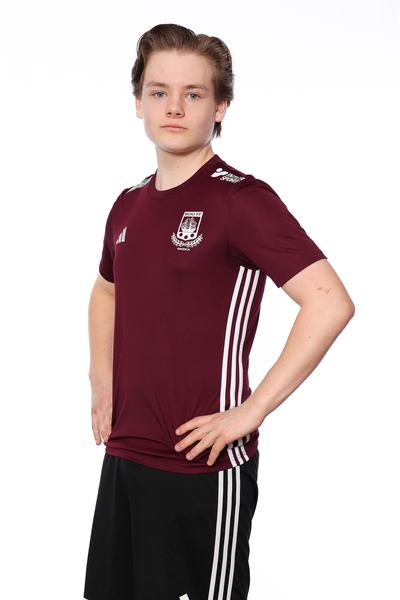 Md p15 a ludvig sundblom