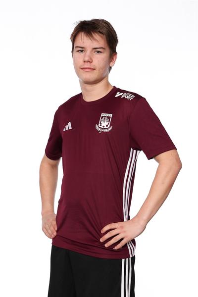 Md p15 a fabian andreason