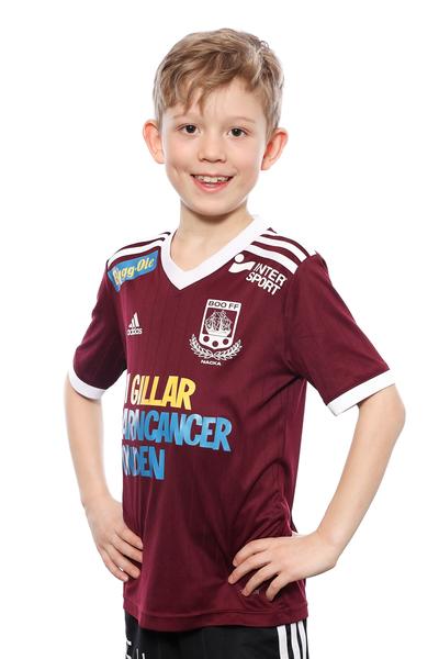Md p2018 12 lukas ekstrand hedblad