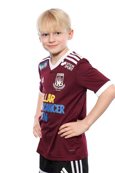 Md p2018 12 ludvig akerberg