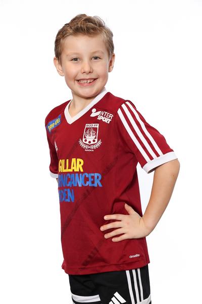 Md p2018 4 edvin mujezinovic
