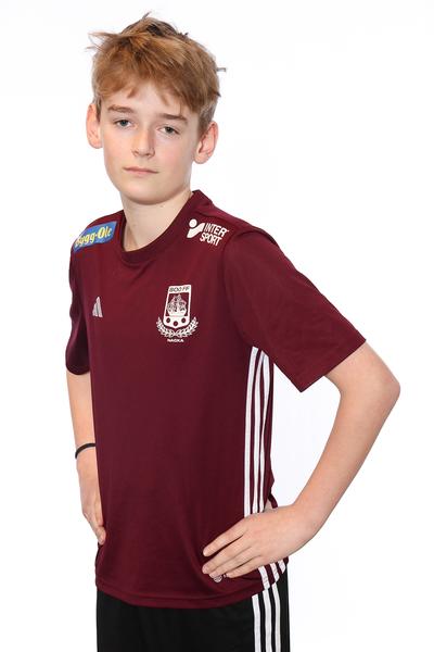 Md p2013 14 louis haage