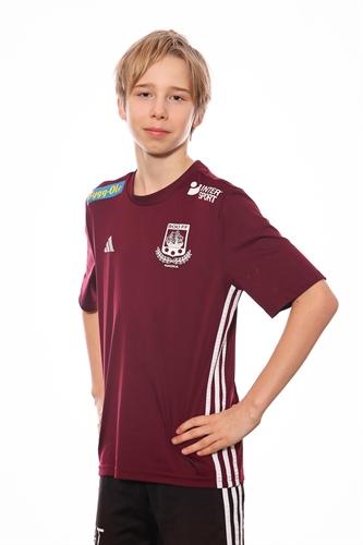 Md p13 4 henning tarbe