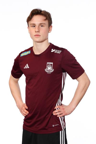 Md p16 a teodor lamke walker