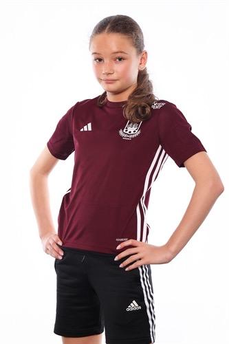 Md uppstartsgrupp f11 12 13 clara pihl