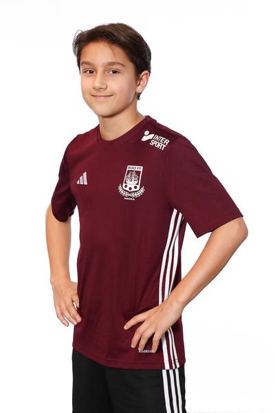 Md p14 a elias samuelsson lederman